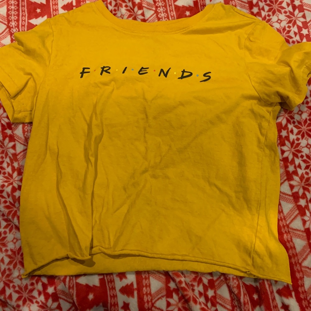 Friends crop top